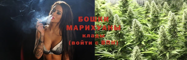 твердый Зеленодольск