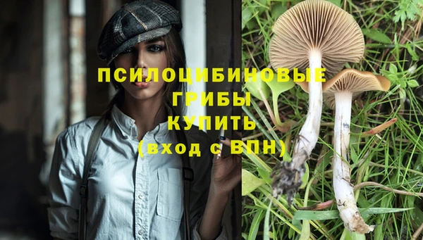 каннабис Зерноград