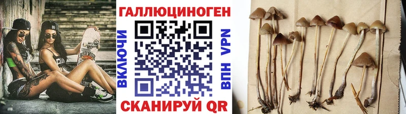 Купить закладки  Шахунья  Галлюциногенные грибы мухоморы 